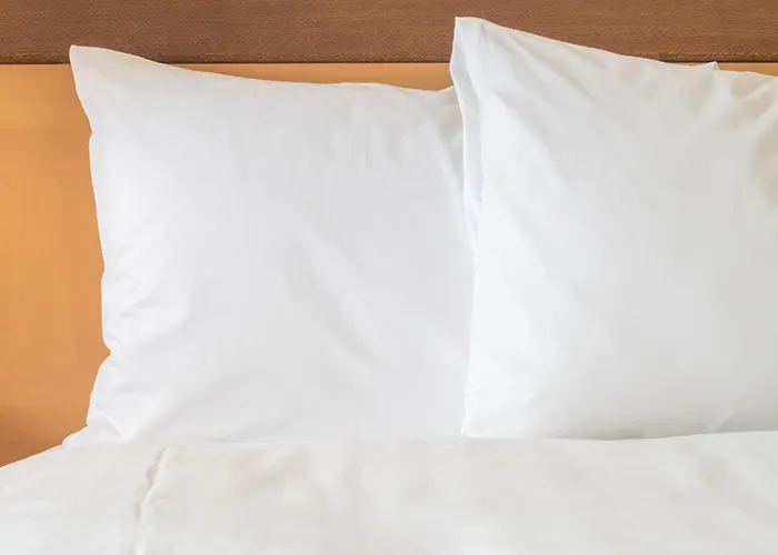 Hotel Avid Chicago O Hare - By Ihg Des Plaines