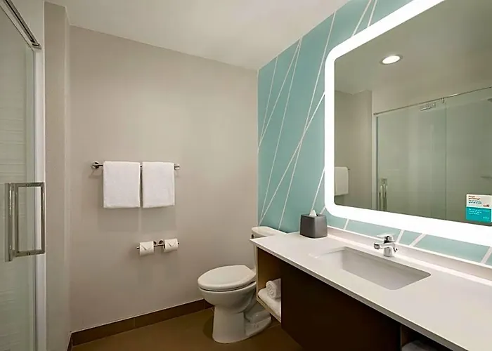 Avid Chicago O Hare - By Ihg Hotel 3*